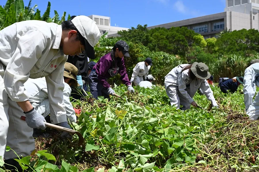 修学支援基金のイメージ2