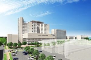 沖縄健康医療推進基金画像